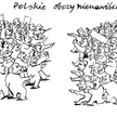 Komentarz rysunkowy