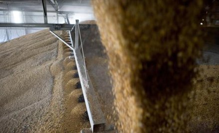 Brak tłumów na platformie Sellfood