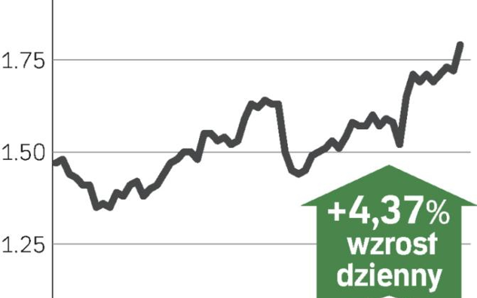 Francuzi zainteresowani?