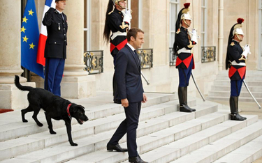 Emmanuel Macron chce przewodzić walce z migracją