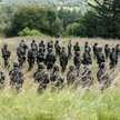 Uczestnicy szkolenia wojskowego dla uczniów ostatnich klas szkół średnich na poligonie Hradiště w po