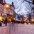 Nieginący urok misia i owczarków
