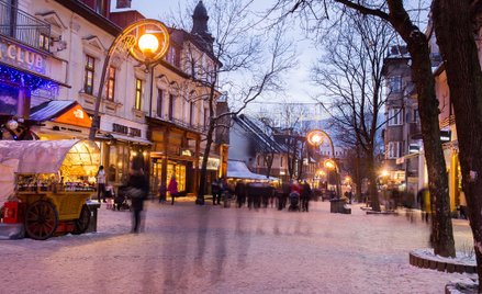 Nieginący urok misia i owczarków