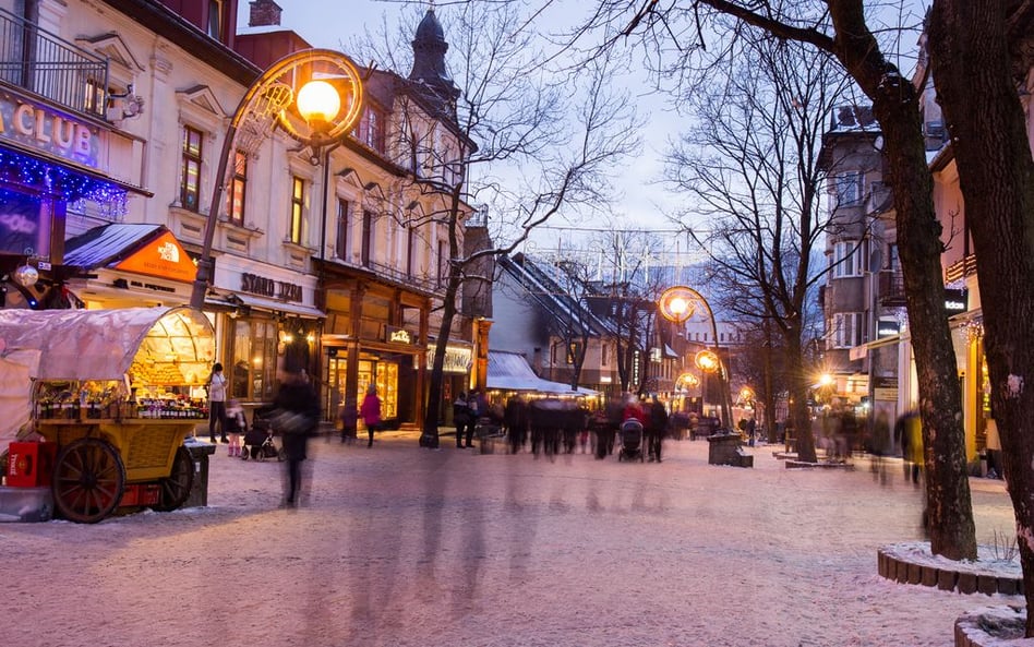 Nieginący urok misia i owczarków