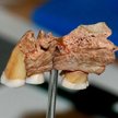 W 1964 roku w jaskini Cavallo na południu Włoch odkopano dwa zęby mleczne, które uznano wtedy za nea