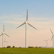 Rynek energetyczny liczy, że dzięki nowelizacji ustawy wiatrakowej uda się szybko w części zapełnić 