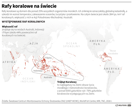 Rafy koralowe obumierają. Szkodzi im wzrost temperatur, zakwaszenie oceanów, turystyka, przełowienie