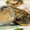 Słabość złotego kontrastuje z coraz większym optymizmem ekonomistów w ocenie perspektyw polskiej gos