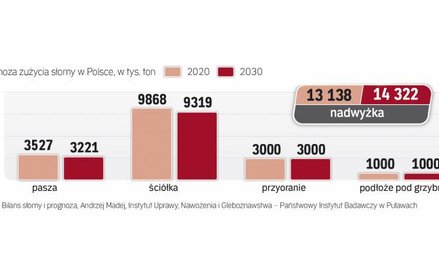 W polsce jest potencjał na 15 siłowni na słomę. instalacje mają największe szanse powstać tam, gdzie