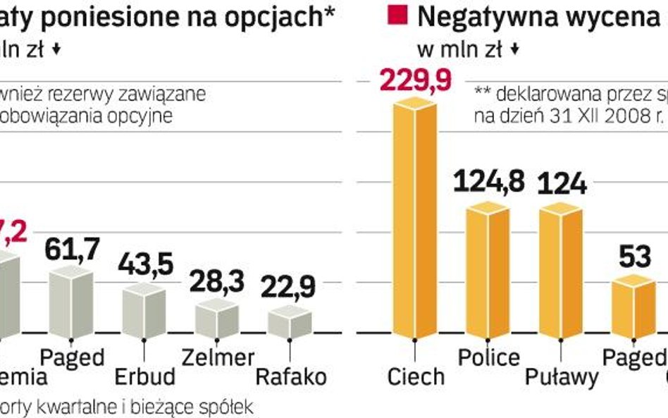 Spółki tracĄ na opcjach walutowych. Umowy z bankami miały chronić przed zmianami kursów walut. Ich k