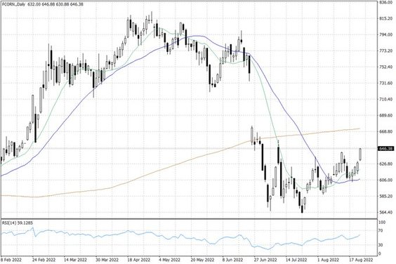 Notowania kukurydzy w USA – dane dzienne