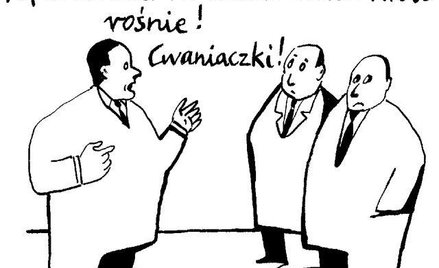 Komentarz rysunkowy