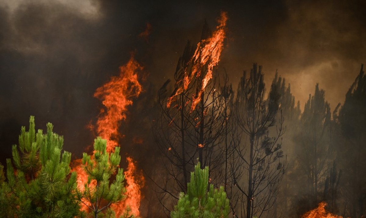 Sécheresse en Angleterre, incendies en France.  Merci aux pompiers polonais