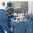 Aby terapia była skuteczna, chirurg musi blisko współpracować z diagnostą i rehabilitantem