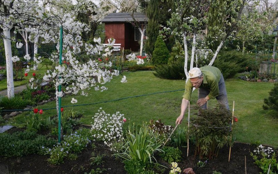 Ogródki działkowe niezgodne z Konstytucją
