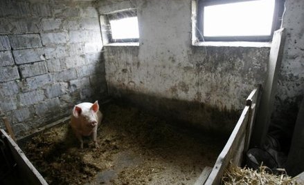 Budynki gospodarcze rolnik zbuduje bez zezwolenia