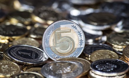 Kurs złotego próbuje odbijać po mocnych ciosach