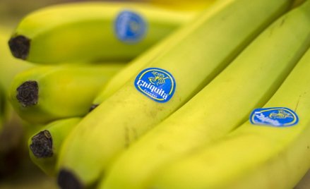 Brazylijskie konsorcjum Cutrale i Safra groups jednak kupują amerykańskiego giganta handlu bananami 