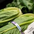 Specjaliści zalecają zwracanie uwagi na komunikaty sanitarne i zachowanie szczególnej ostrożności pr