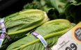 Specjaliści zalecają zwracanie uwagi na komunikaty sanitarne i zachowanie szczególnej ostrożności pr