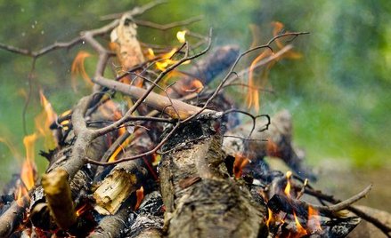 Odszkodowanie od gminy za poparzenie dziecka na terenie szkoły