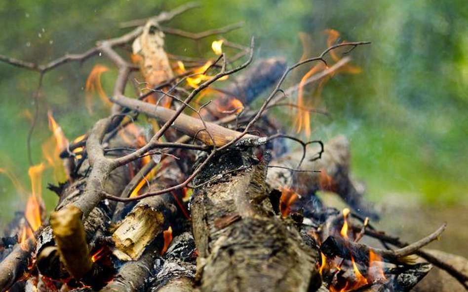 Odszkodowanie od gminy za poparzenie dziecka na terenie szkoły