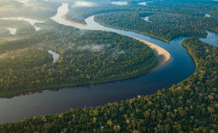 Człowiek przez lata wymawia słowo „Amazonka” i widzi przed oczami ogrom. Lasy zalewane na setki kilo
