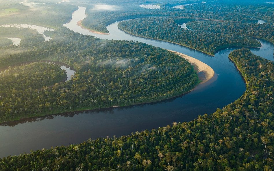 Człowiek przez lata wymawia słowo „Amazonka” i widzi przed oczami ogrom. Lasy zalewane na setki kilo