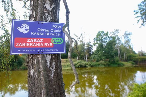 Rzeka Kłodnica przy Małej Elektrowni Wodnej Pławniowice