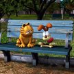 Wejście Garfielda