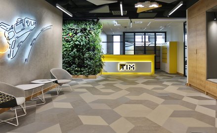 Wzywający nie może kupić akcji Timu