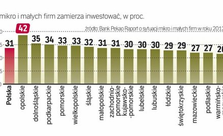 Co trzecia spółka chce inwestować