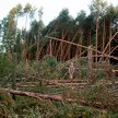 fot. kolektyw gęsia skórka
