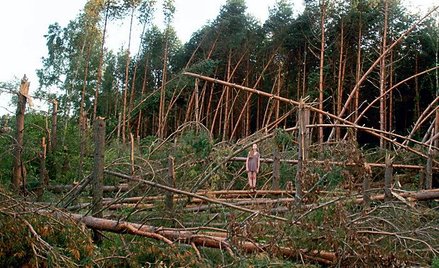 fot. kolektyw gęsia skórka