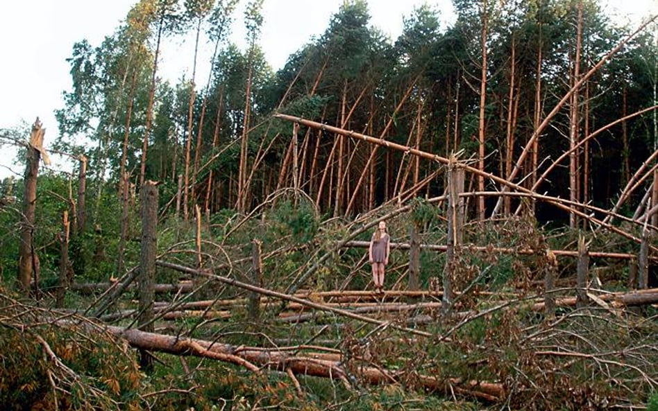 fot. kolektyw gęsia skórka