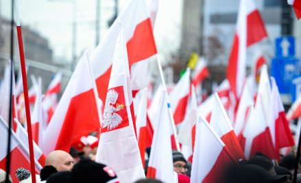 Jak sądy powszechne interpretują pojęcie znieważenia państwa i narodu w dobie globalizacji?
