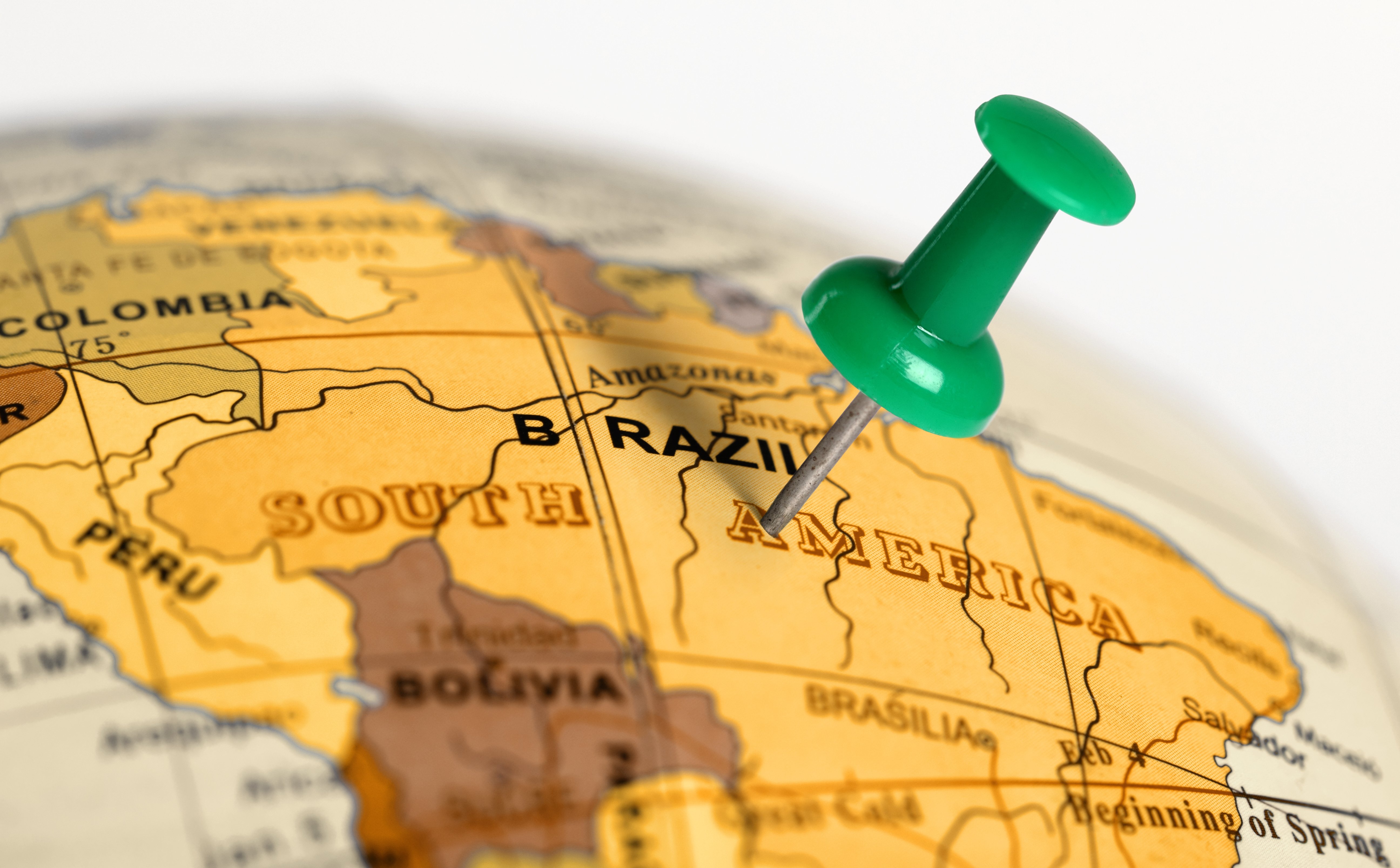 Jak sprzedać polską żywność w Brazylii?