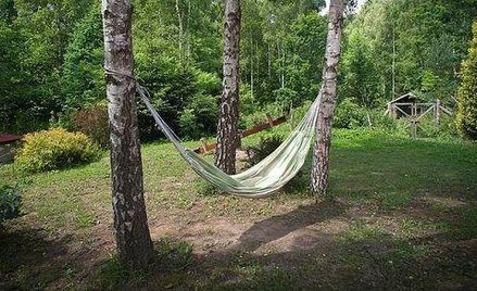 Polacy nie mają najwięcej wolnego; więcej mają np. Belgowie