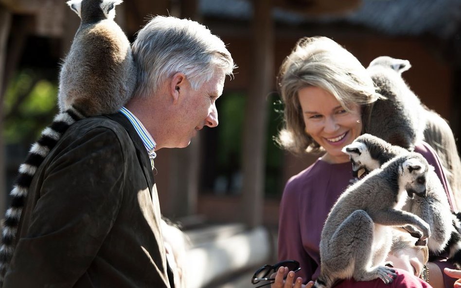 Król Belgii Filip I Koburg i królowa Matylda podczas wakacji belgijskiej rodziny królewskiej w parku