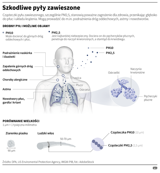 Smog jest jednym z największych zagrożeń dla układu oddechowego.