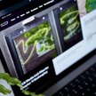 Vice Media zbankrutował