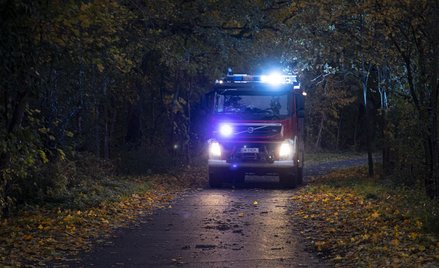 Strażacy nadal usuwają powalone drzewa. A dziś wciąż obowiązują ostrzeżenia IMGW dla kilku województ