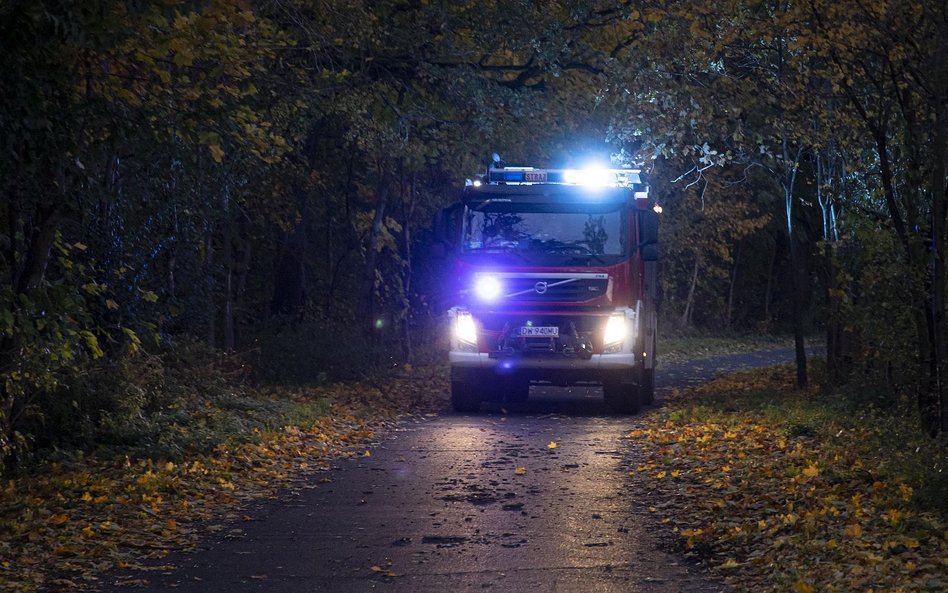 Strażacy nadal usuwają powalone drzewa. A dziś wciąż obowiązują ostrzeżenia IMGW dla kilku województ