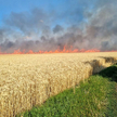 Płonące pola koło Mikołajowa