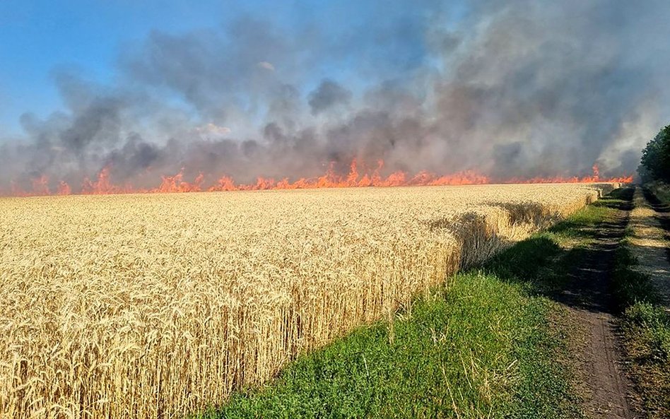 Płonące pola koło Mikołajowa