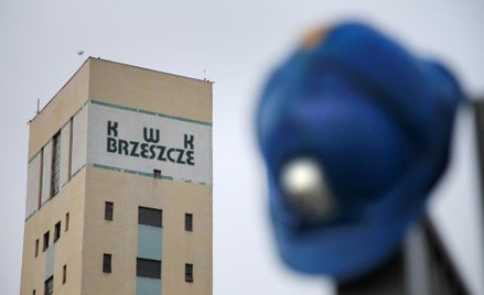 Tauron szykuje ofertę na Brzeszcze