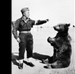 Niedźwiedź Wojtek z polskim żołnierzem.