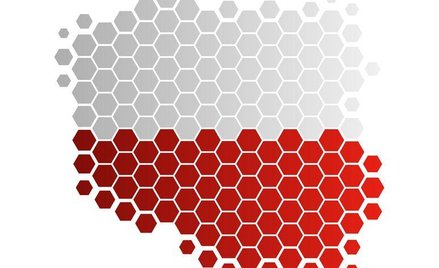 Gminy i powiaty – czy obecny podział terytorialny kraju zapewnia ich sprawność