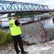 Katastrofa ekologiczna na Odrze. Alarmujące wyniki kontroli: Rzeki trute na potęgę