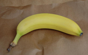 Kokaina w bananach przeznaczonych dla Lidla